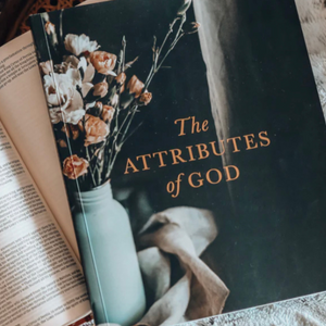 The Attributes of God (6 Week Study)
